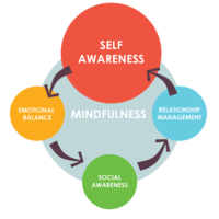 Mindfulness in the Morning